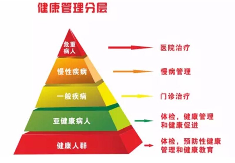 如何通过一次全面的健康体检抓住身体的小秘密？让我们一起来探索。