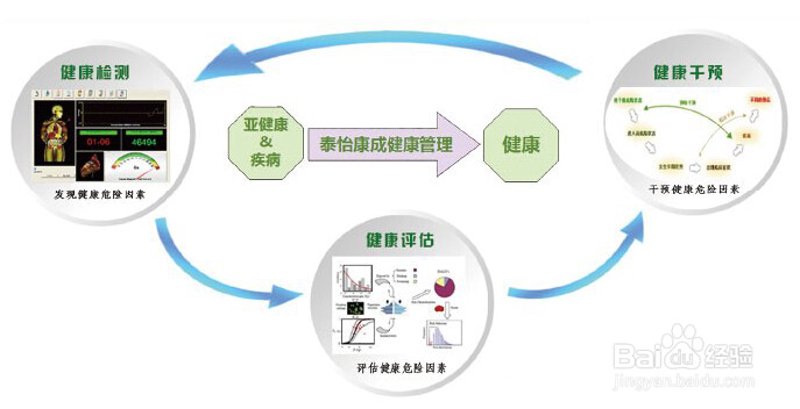 在当今快节奏的社会中，越来越多的企业开始关注员工的健康问题。健康管理公司作为这一领域的新兴力量，正逐渐成为企业提升工作效率、增强团队凝聚力的重要伙伴。那么，这些公司在市场上的表现如何？又有哪些值得借鉴的经验呢？